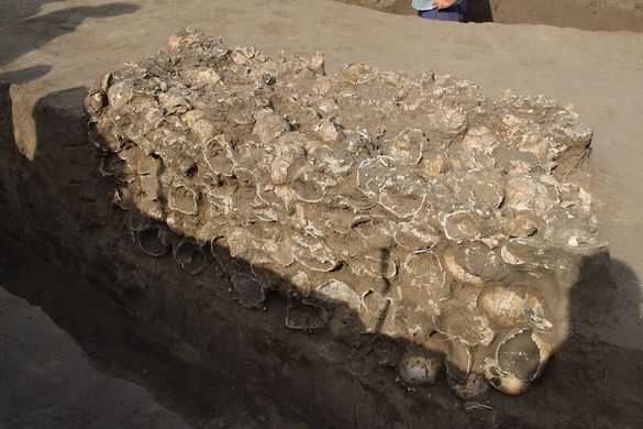 У Чигирині під час розкопок знайшли колективне захоронення людських черепів