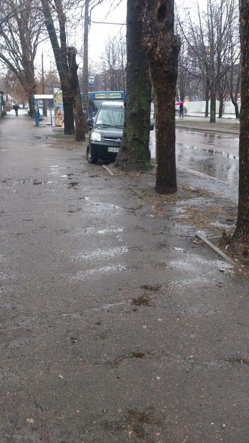 Черкаські водії паркуються поміж деревами (ФОТО)