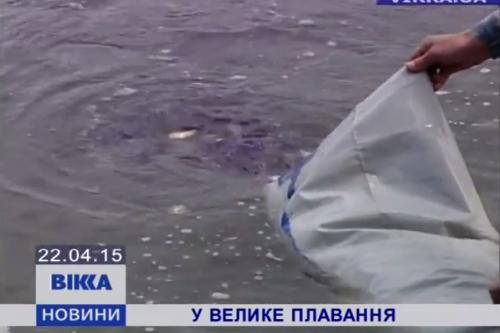 У Дніпро додали нової риби (ВІДЕО)
