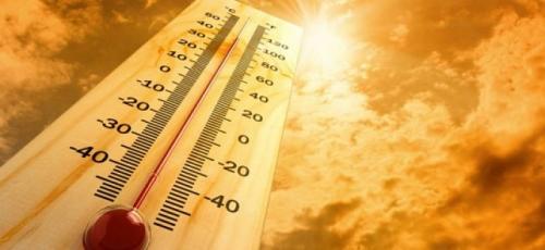 Як пережити літню спеку?