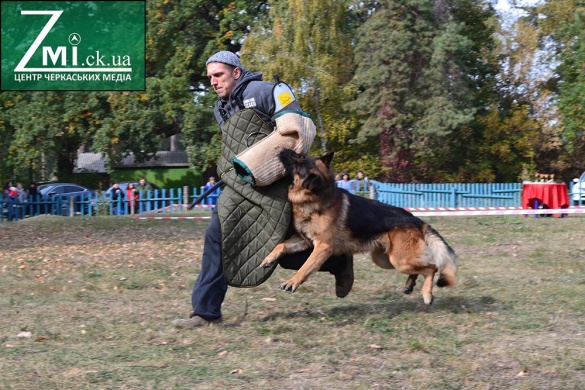 Собака-супермен, охоронець та рятівник: фестиваль чотирилапих у Черкасах (ФОТО, ВІДЕО)