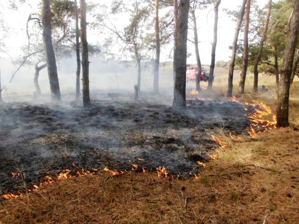 Черкаські рятувальники борються з масовими пожежами на полях