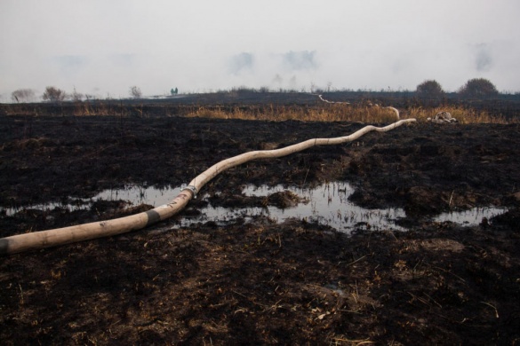 Черкаські рятувальники борються з пожежами на київських торфовищах