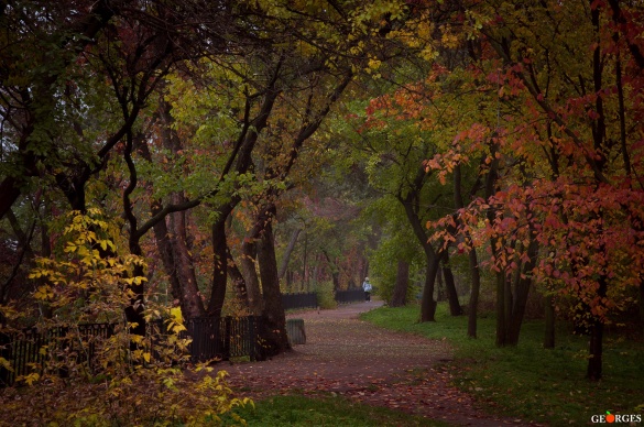У мережі з’явилися фото Ювілейного парку восени