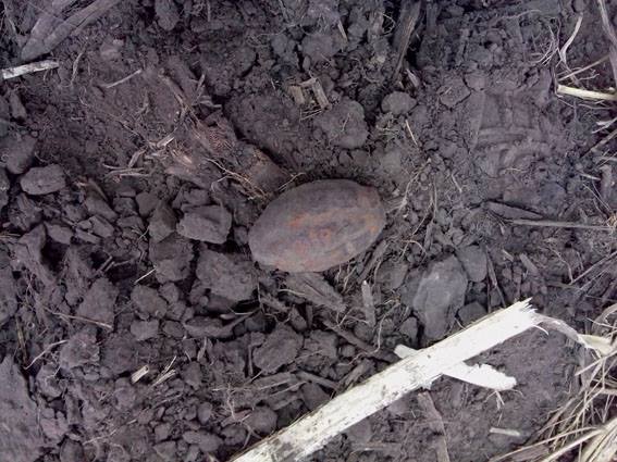 На Черкащині місцеві жителі випадково знайшли гранату