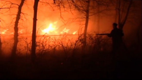 На Черкащині вогонь знищив 60 тонн соломи (ВІДЕО)