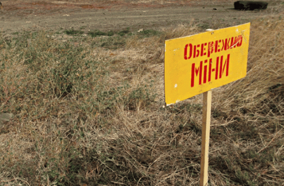 В Катеринополі місцеві жителі на ділянці знайшли кілька снарядів та мін
