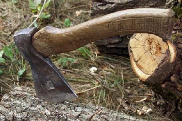 На Черкащині браконьєри вирубали дерев на майже 200 тисяч гривень
