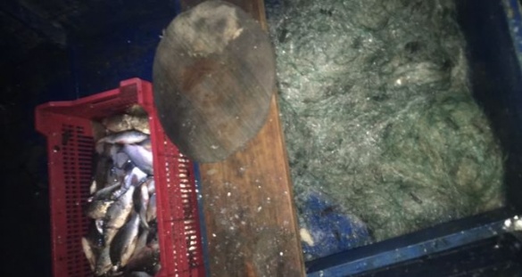На Черкащині затримали браконьєра, який сітками ловив рибу