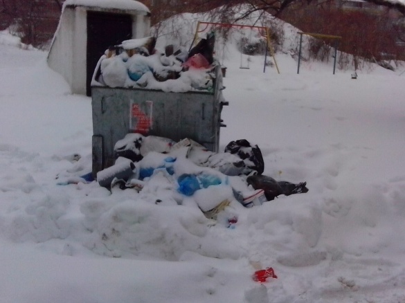 У деяких дворах Черкас сміття не вивозять через ризик загрузнути у снігу