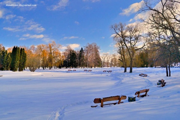Черкаський парк після снігопаду очима фотографа