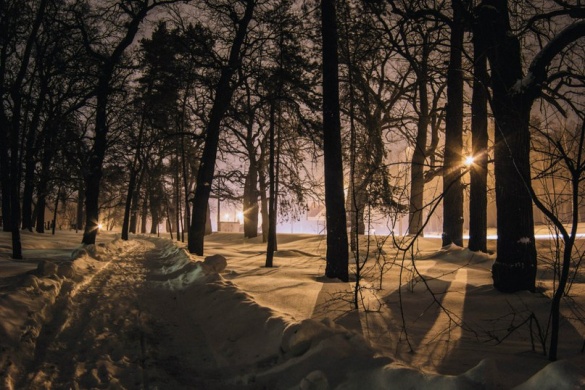 Черкаський фотограф показав красу вечірнього засніженого парку