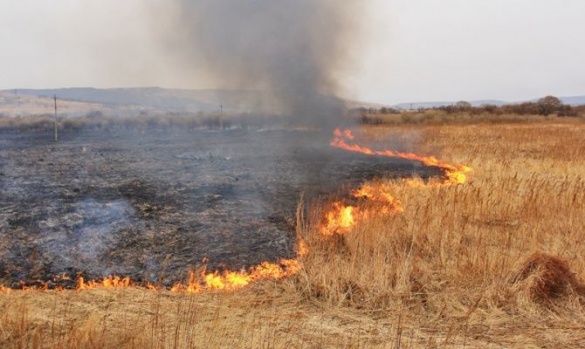 Дитячі пустощі та необережність: за кілька днів на Черкащині сталося 11 пожеж