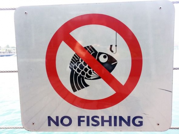 Браконьєри на Черкащині продовжують вилов риби, незважаючи на заборону