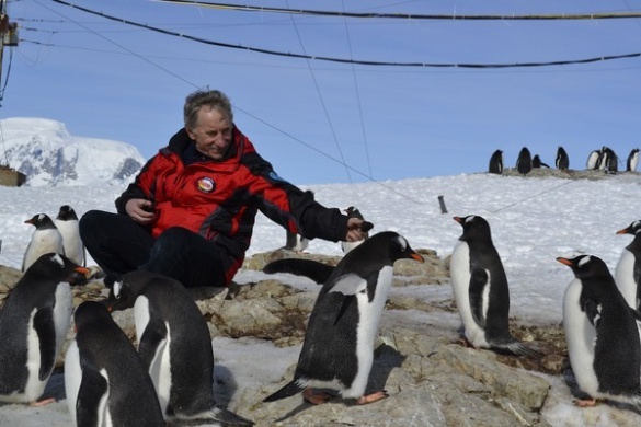 Черкащанин поїде у Антарктиду, щоб вивчати пінгвінів