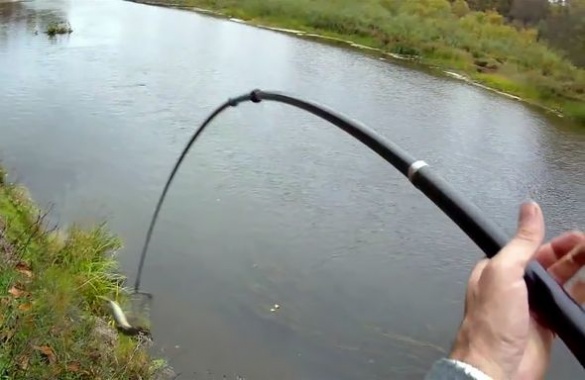 Через браконьєрів з електровудками річка на Черкащині може залишитися без риби