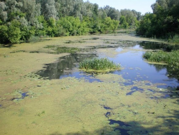 На Черкащині через відсутність якісних очисних споруд люди можуть отруїтися водою