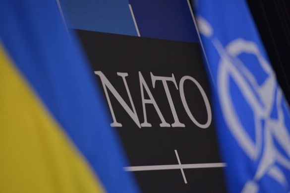 Один із черкаських вишів співпрацює з НАТО