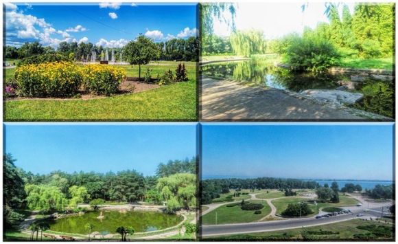 Краса та спокій. 4 черкаських парки, куди потрібно не забувати ходити