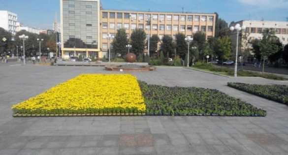 Біля ОДА роблять прапор України із квітів (ФОТО)