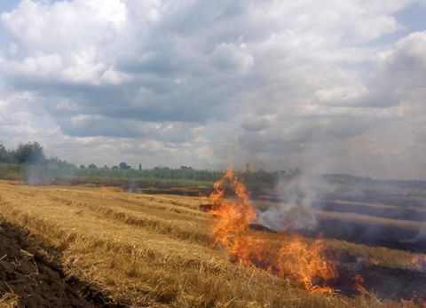 На Черкащині оголосили попередження про пожежну небезпеку