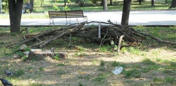 Черкаський парк заполонили хащі та сміття (ВІДЕО)
