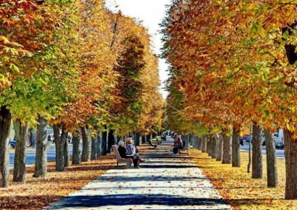 Якою неймовірною є осінь у Черкасах (ФОТО)