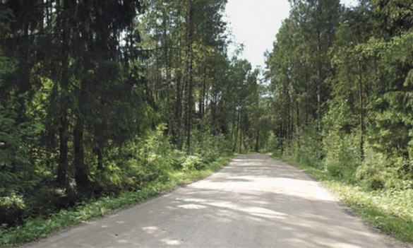 На Черкащині відремонтували лісові дороги