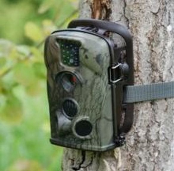 У лісах Черкащини встановили відеоспостереження