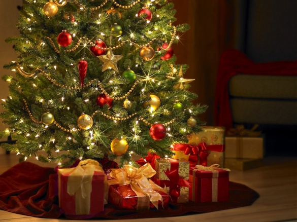 Феєрверки та новорічні прикраси можуть зашкодити домашнім улюбленцям черкащан