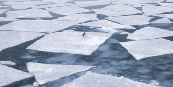 Ризиковані ігри: на Черкащині молоді відчайдухи плавають на льодових брилах