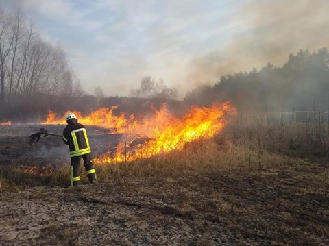 Від вогню потерпає Черкащина: підпали сухої трави і вітряна погода – причини численних пожеж