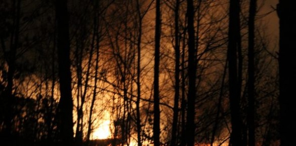 На Черкащині сталася в пожежа в Липівському орнітологічному заказнику