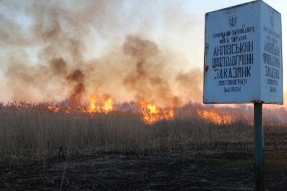 У Липівському заказнику на Черкащині знову спалахнув вогонь (ФОТО)