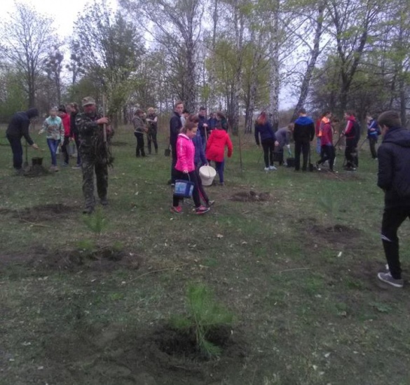 На Черкащині висадили алею пам’яті воїнів АТО