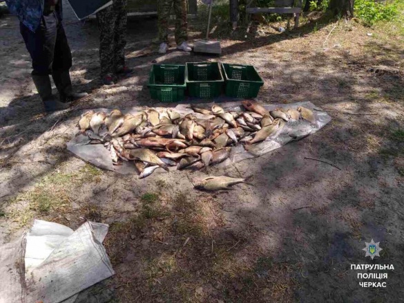 У селах поблизу Черкас патрульні виявили сотні метрів сіток та кілограми риби