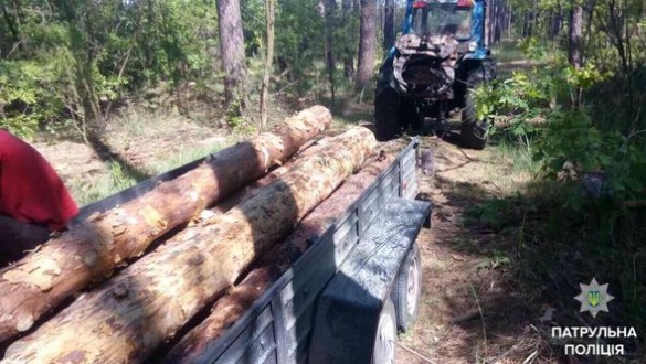 На Черкащині затримали нелегальних лісорубів