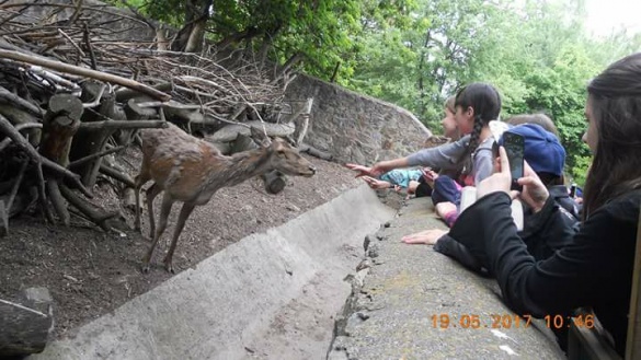 Черкаські школярі побували на нестандартних уроках біології у зоопарку