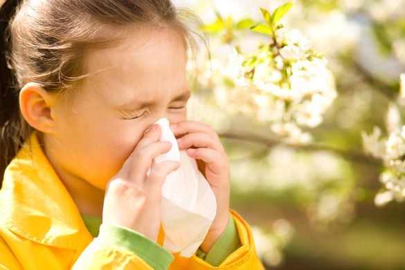 Черкащани почали жалітися на перші прояви алергії