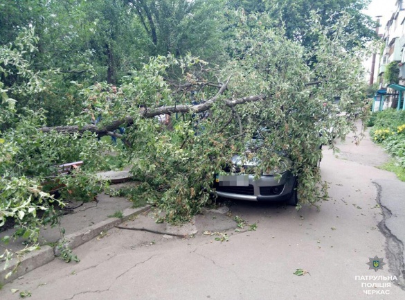 У Черкасах на автомобіль впало дерево (ФОТО)