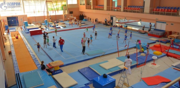 Для черкаських гімнастів хочуть закупити неякісне обладнання за завищеними цінами