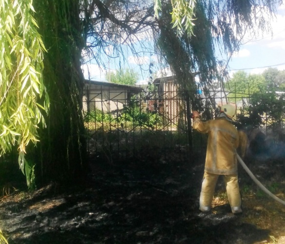 Через пожежу на Черкащині на адмінбудівлю ледь не впало дерево