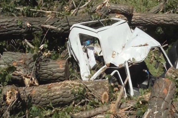 На Черкащині через буревій дерево впало на машину із людьми (ФОТО)