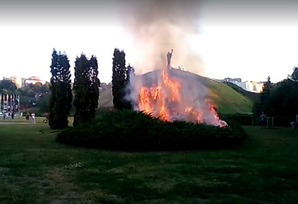 Рятувальники розповіли подробиці пожежі у Долині троянд