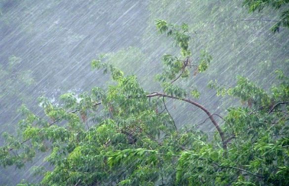 Готуйте парасольки: черкащан попереджають про сильні дощі та град