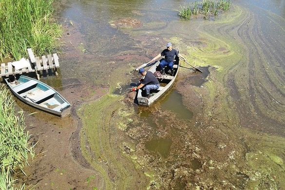 Біля річки на Черкащині знайшли тіло чоловіка