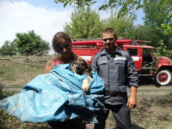 На Смілянщині рятували собаку, який впав у колодязь