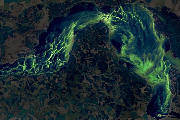 У мережі показали, який вигляд має зі спутника зазеленілий Дніпро (ФОТО)