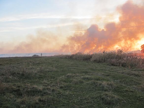 У Черкаській області сталася масштабна пожежа - горіло поле