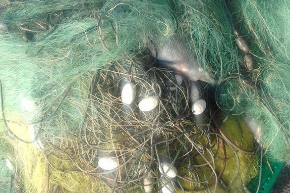 Полювання на бракон'єрів: біля черкаського мосту затримали двох рибалок